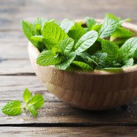 Flavor Shot Just Mint 120ml