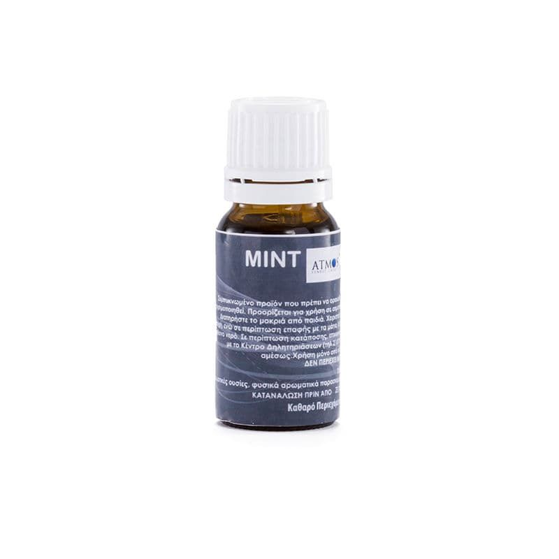 Flavour Diy Mint